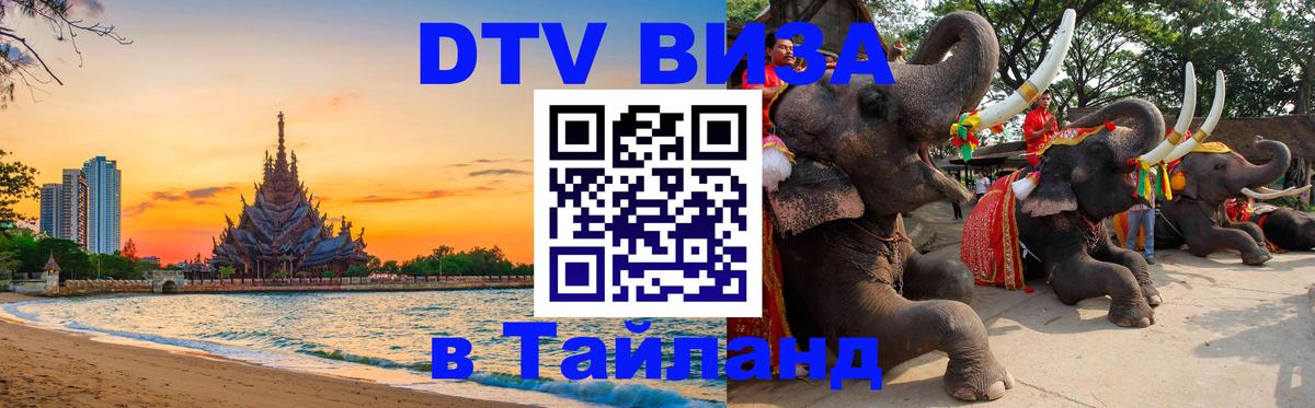Сколько стоит DTV виза — актуальные цены, оформление даже без документов - 07.01.2026 